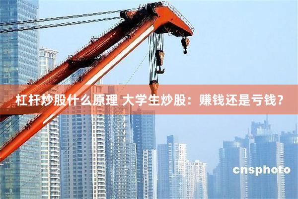 杠杆炒股什么原理 大学生炒股：赚钱还是亏钱？