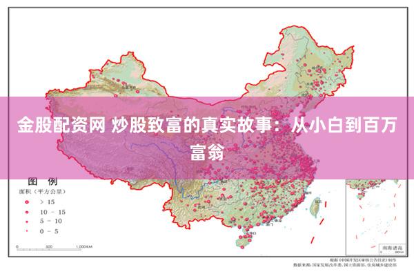 金股配资网 炒股致富的真实故事：从小白到百万富翁