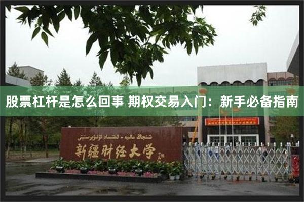 股票杠杆是怎么回事 期权交易入门：新手必备指南
