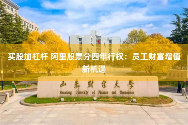 买股加杠杆 阿里股票分四年行权：员工财富增值新机遇