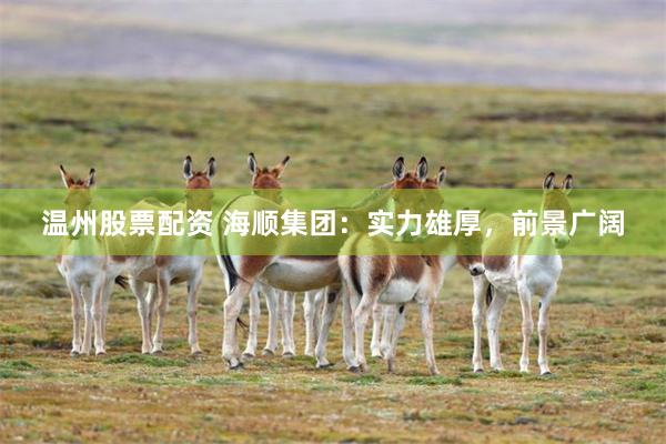 温州股票配资 海顺集团：实力雄厚，前景广阔