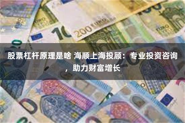 股票杠杆原理是啥 海顺上海投顾：专业投资咨询，助力财富增长