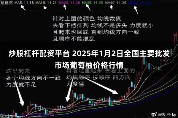炒股杠杆配资平台 2025年1月2日全国主要批发市场葡萄柚价格行情
