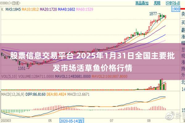 股票信息交易平台 2025年1月31日全国主要批发市场活草鱼价格行情