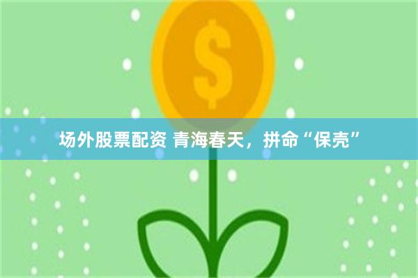 场外股票配资 青海春天，拼命“保壳”