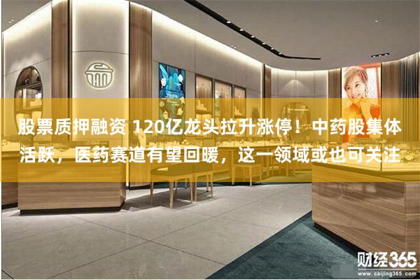 股票质押融资 120亿龙头拉升涨停！中药股集体活跃，医药赛道有望回暖，这一领域或也可关注