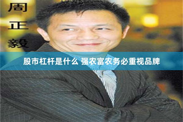 股市杠杆是什么 强农富农务必重视品牌