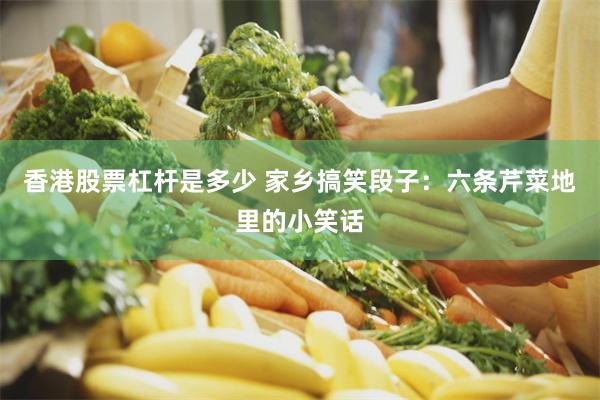 香港股票杠杆是多少 家乡搞笑段子：六条芹菜地里的小笑话