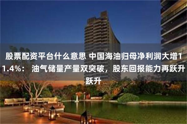 股票配资平台什么意思 中国海油归母净利润大增11.4%： 油气储量产量双突破，股东回报能力再跃升