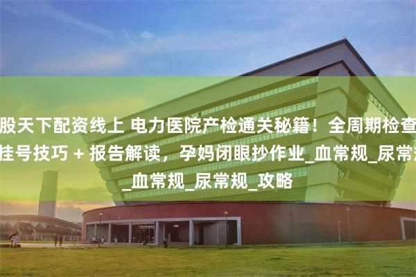 股天下配资线上 电力医院产检通关秘籍！全周期检查项目 + 挂号技巧 + 报告解读，孕妈闭眼抄作业_血常规_尿常规_攻略