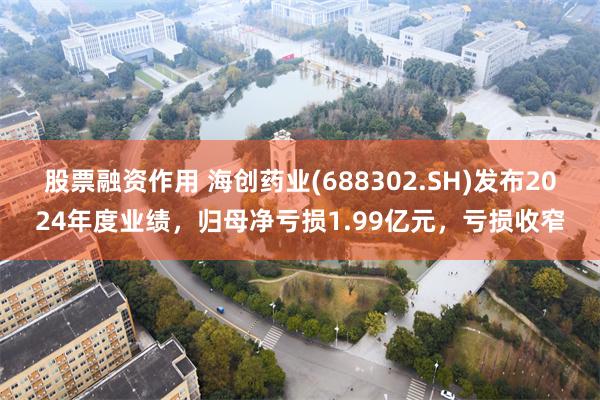 股票融资作用 海创药业(688302.SH)发布2024年度业绩，归母净亏损1.99亿元，亏损收窄