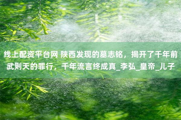 线上配资平台网 陕西发现的墓志铭，揭开了千年前武则天的罪行，千年流言终成真_李弘_皇帝_儿子