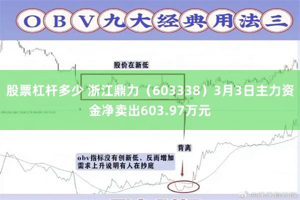 股票杠杆多少 浙江鼎力（603338）3月3日主力资金净卖出603.97万元