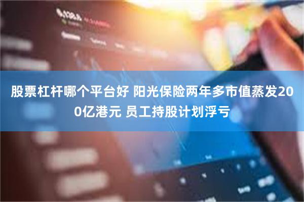 股票杠杆哪个平台好 阳光保险两年多市值蒸发200亿港元 员工持股计划浮亏