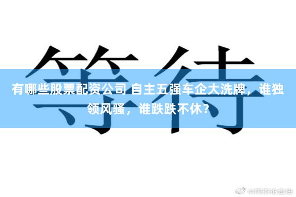 有哪些股票配资公司 自主五强车企大洗牌，谁独领风骚，谁跌跌不休？
