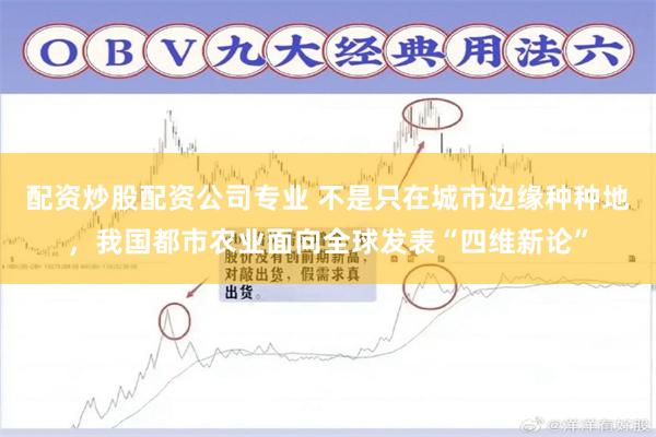 配资炒股配资公司专业 不是只在城市边缘种种地，我国都市农业面向全球发表“四维新论”