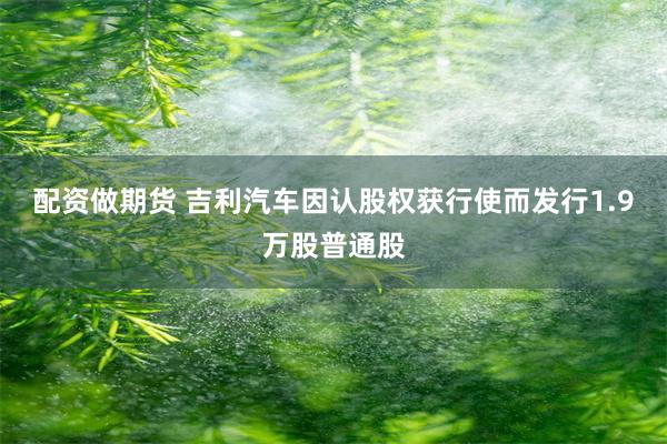 配资做期货 吉利汽车因认股权获行使而发行1.9万股普通股