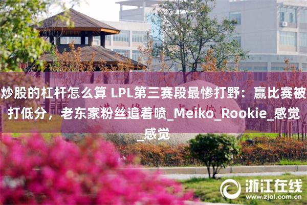 炒股的杠杆怎么算 LPL第三赛段最惨打野：赢比赛被打低分，老东家粉丝追着喷_Meiko_Rookie_感觉