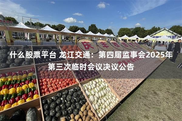 什么股票平台 龙江交通：第四届监事会2025年第三次临时会议决议公告