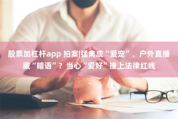 股票加杠杆app 拍案|猛禽成“爱宠”、户外直播藏“暗语”？当心“爱好”撞上法律红线